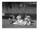 1950s Family Mother Father Son Daughter Picnicking By Lake Outdoor by Anonymous