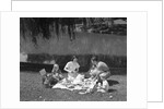 1950s Family Mother Father Son Daughter Picnicking By Lake Outdoor by Anonymous