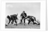1940s 1950s Five Young Men Wearing Leather Helmets And Uniforms Playing Football by Anonymous
