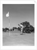 1950s Man Playing Golf Putting Golf Ball On Green To Flag And Cup Outdoor by Anonymous