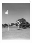 1950s Man Playing Golf Putting Golf Ball On Green To Flag And Cup Outdoor by Anonymous