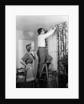 1950s Skeptical Wife In Apron Fingers Pressing Chin Watching Husband On Ladder Hanging New Jungle Motif Drapes In Living Room by Anonymous
