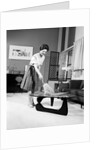 1950s 1960s Woman Wearing A White Blouse & Plaid Skirt Dusting With A Feather Duster A Glass Top Coffee Table by Anonymous