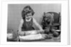1950s Little Girl Rolling Out Apple Pie Crust On Kitchen Table With Cocker Spaniel Puppy Watching by Anonymous