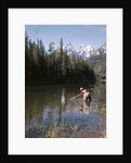 1970s Man Fisherman Red Shirt In Rocky Mountains Stream Lake Fly Rod Catch Splashing On Line Net by Anonymous