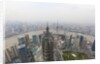 Shanghai cityscape by Anonymous
