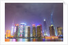 Shanghai's Pudong cityscape by Anonymous