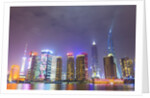 Shanghai's Pudong cityscape by Anonymous