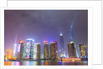 Shanghai's Pudong cityscape by Anonymous