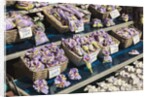 Lavender for sale, Nice, France by Anonymous
