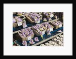 Lavender for sale, Nice, France by Anonymous