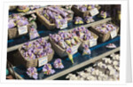 Lavender for sale, Nice, France by Anonymous