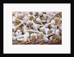 Garlic for sale by Anonymous