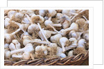 Garlic for sale by Anonymous