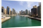 Dubai Marina by Anonymous