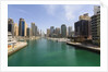 Dubai Marina by Anonymous