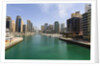 Dubai Marina by Anonymous