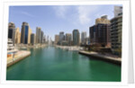 Dubai Marina by Anonymous