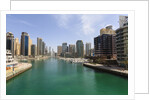Dubai Marina by Anonymous