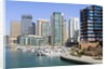 Dubai Marina by Anonymous