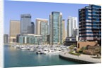Dubai Marina by Anonymous