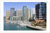 Dubai Marina by Anonymous