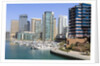 Dubai Marina by Anonymous