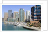 Dubai Marina by Anonymous