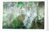 Plastic trash by Anonymous