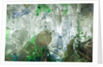 Plastic trash by Anonymous