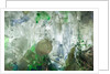 Plastic trash by Anonymous
