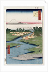 Nekozane at Horikiri by Ando Hiroshige from the series 'One Hundred Views of Famous Places in Edo' by Ando Hiroshige