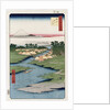 Nekozane at Horikiri by Ando Hiroshige from the series 'One Hundred Views of Famous Places in Edo' by Ando Hiroshige