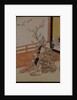 Two women seated by a verandah, one pointing at geese in flight, beyond a flowering plum tree outside by Suzuki Harunobu