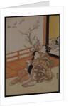 Two women seated by a verandah, one pointing at geese in flight, beyond a flowering plum tree outside by Suzuki Harunobu