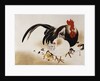 Cockerel, Hen and Chicks by Shibata Zeshin