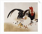 Cockerel, Hen and Chicks by Shibata Zeshin
