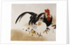 Cockerel, Hen and Chicks by Shibata Zeshin