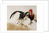 Cockerel, Hen and Chicks by Shibata Zeshin