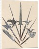 Weapons. Halberds and spearhead. Colored engraving by Anonymous