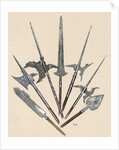 Weapons. Halberds and spearhead. Colored engraving by Anonymous