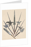 Weapons. Halberds and spearhead. Colored engraving by Anonymous