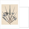 Weapons. Halberds and spearhead. Colored engraving by Anonymous