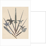 Weapons. Halberds and spearhead. Colored engraving by Anonymous