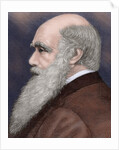 Charles Robert Darwin (1809-1882) British naturalist. Colored engraving by Anonymous