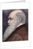 Charles Robert Darwin (1809-1882) British naturalist. Colored engraving by Anonymous