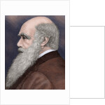 Charles Robert Darwin (1809-1882) British naturalist. Colored engraving by Anonymous