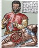 John Thomas Porcell (1528-ca.1580). Spanish doctor by Anonymous