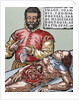 John Thomas Porcell (1528-ca.1580). Spanish doctor by Anonymous