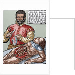 John Thomas Porcell (1528-ca.1580). Spanish doctor by Anonymous